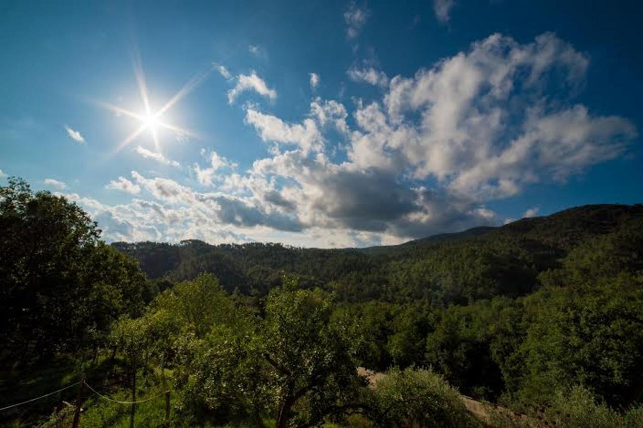 Agriturismo Di Charme E Ristorante Stallato Il Filo Di Paglia Carro Exteriér fotografie