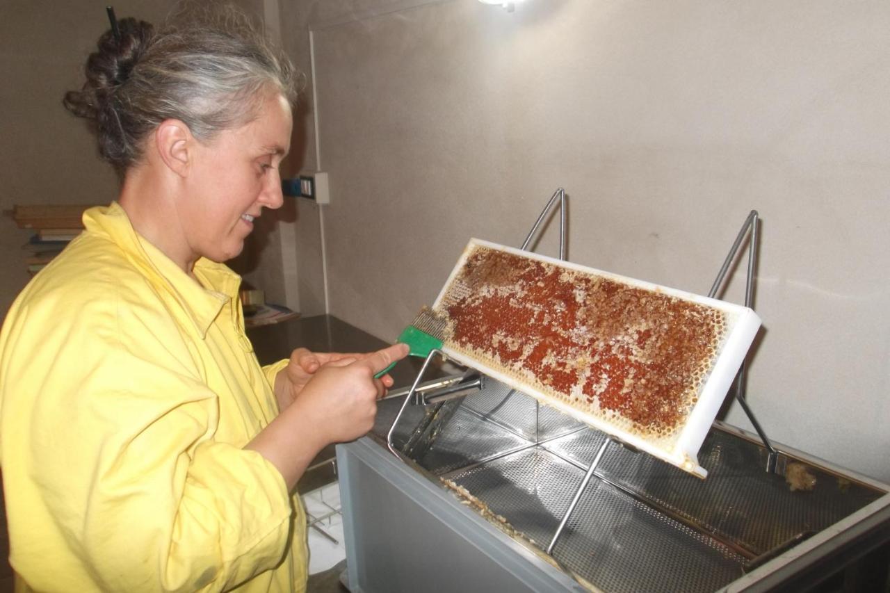 Agriturismo Di Charme E Ristorante Stallato Il Filo Di Paglia Carro Exteriér fotografie