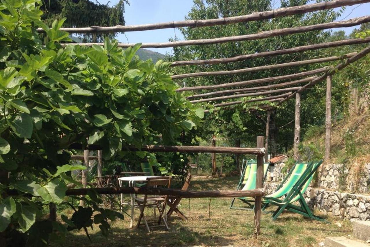 Agriturismo Di Charme E Ristorante Stallato Il Filo Di Paglia Carro Exteriér fotografie
